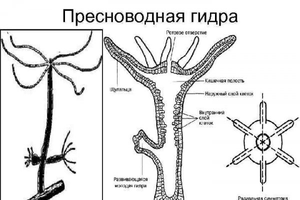 Кракен марихуана